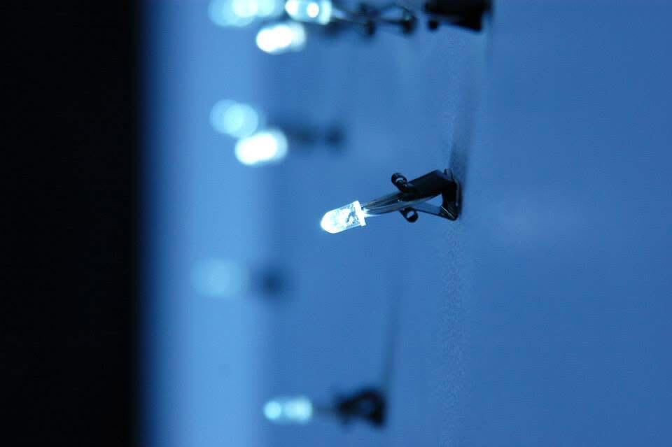 Untitled Untitled